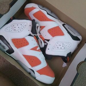 Retro Jordan Gatorade 6's